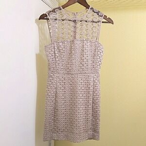 Diane von Furstenberg DVF Beige Lace Leaf Embroidery Mini Dress Size 2 Champagne